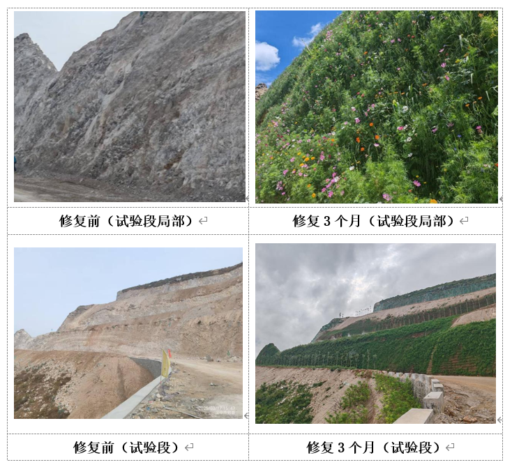 251756102019194611.png 251756102019194611.png