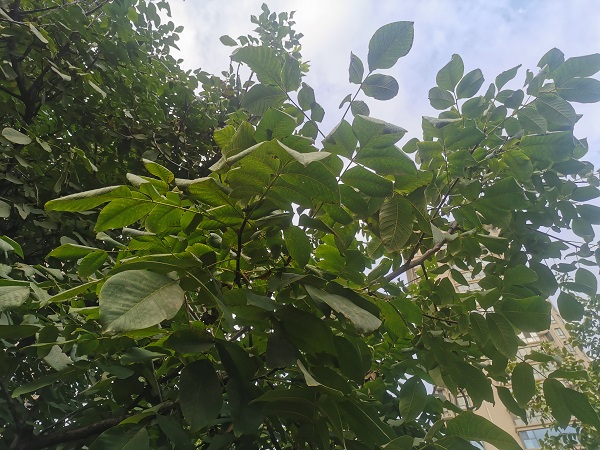 161758016930733210.jpg 0.jpg