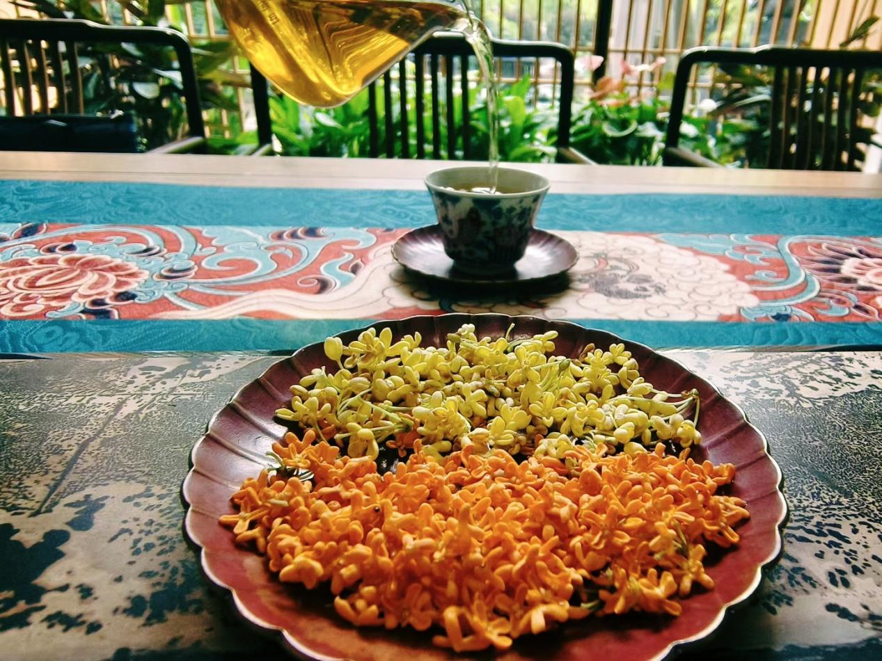 181758177046186067.jpg 181758177046186067.jpg